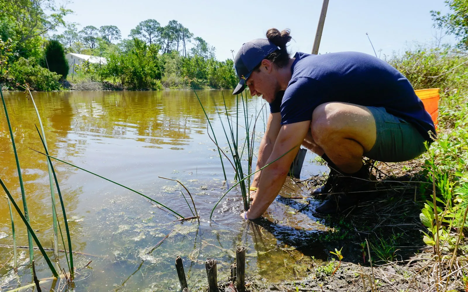 A field scientist collecting a water sample from a pond.